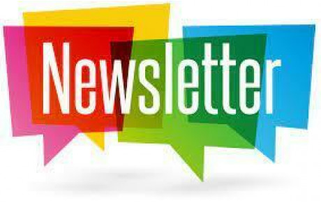 Newsletter N°3 - ESCV